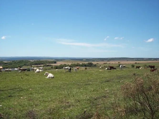 Imóvel para venda com metros quadrados com 10 quartos em Zona Rural - Xangri-Lá - RS