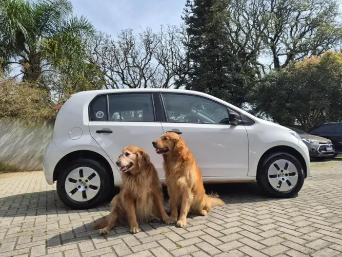 Volkswagen Up! Take 1.0 Total Flex 12V 5P 2017