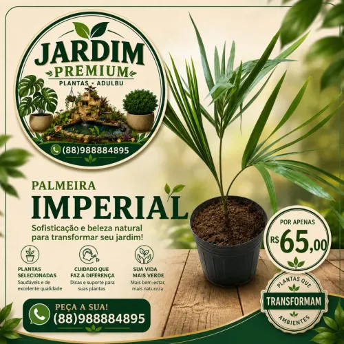 Palmeira imperial
