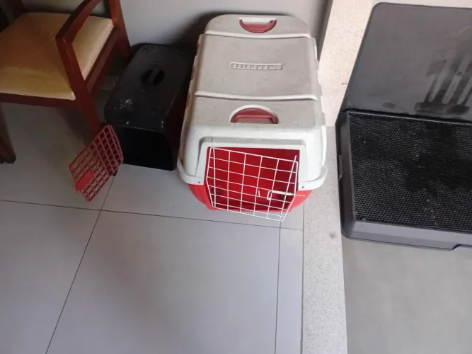 Vendo caixas de transportes para cachorros de pequeno e grande porte