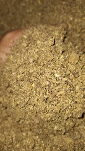 Esterco orgânico de galinha 