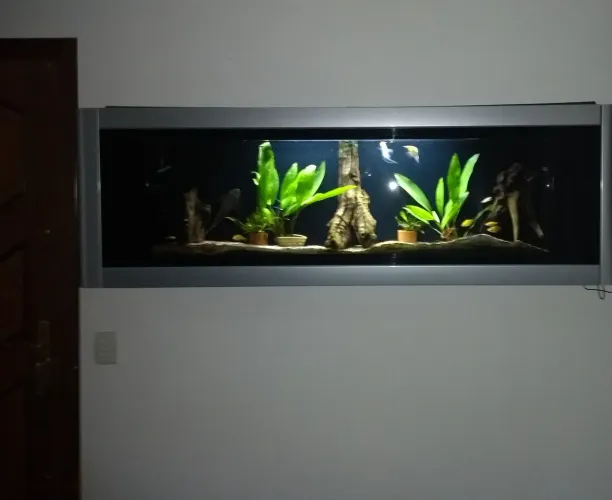 Aquario de parede importado USA (Vendo ou troco)
