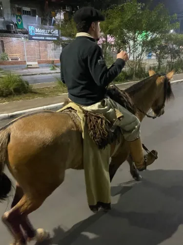 Cavalo crioulo a venda