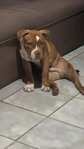 Pit monster