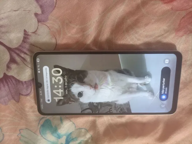 Celular