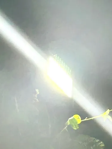Refletor 1000w
