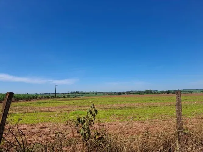 22 Nova Granada 85% aproveitamento cana