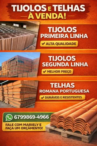 Tijolos 8 furos e telhas 