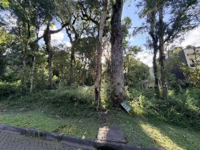 Terreno - Bairro Pinheiro Grosso
