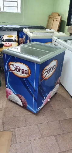Freezer horizontal
