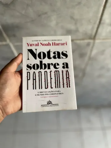 Notas sobre a pandemia