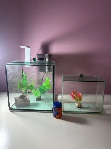 Aquário 7 litros e beteira