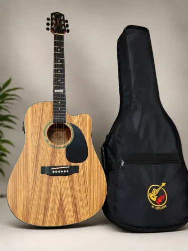 Violão Giannini GF1D CEQ