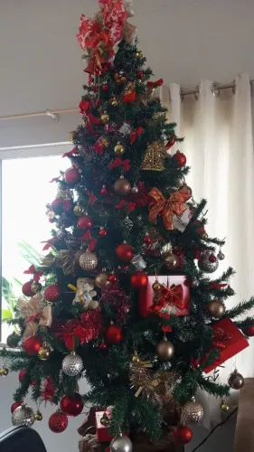 Vendo Árvore de Natal montada