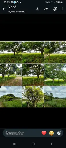 SITIO NO PE DE SERRA DE ITABAIANA-SE 240 MIL
