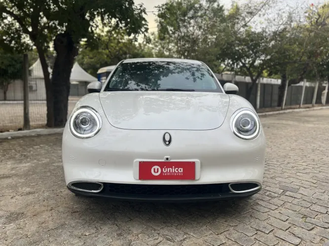 GWM Ora 03 Skin (elétrico) 2024