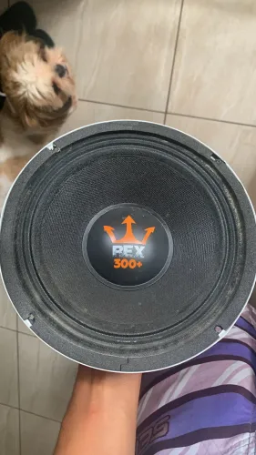 Médio rex power 8? 300rms 
