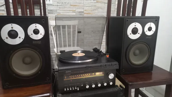 Lindo conjunto de som gradiente,receiver ,toca disco e caixa