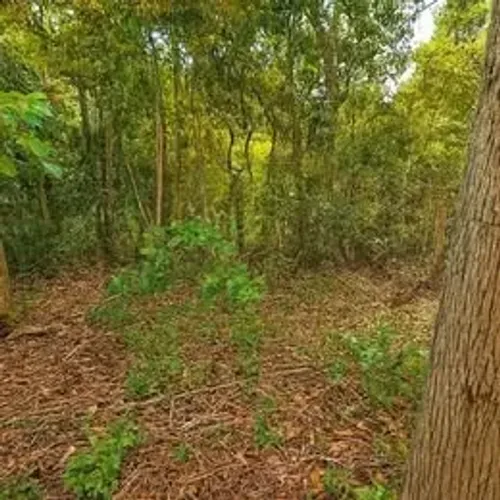 TROCO Sítios em Tijuco Preto - Domingos Martins/ES, de 2.000m2 a 6.700m2, PARCELO, TROCO