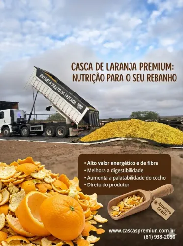 Casca de laranja..ração animal