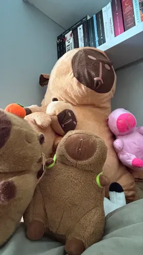 Capivara de pelúcia