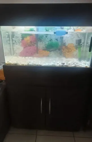 Aquário 120 litros