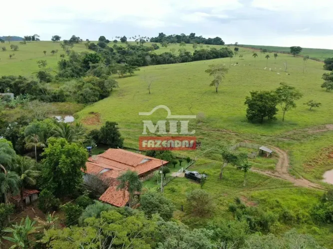 Chácara 2 alqueires (9,68 hectares) Anicuns - Go
