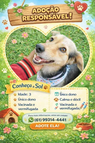 Doação cachorrinha de pequeno porte!