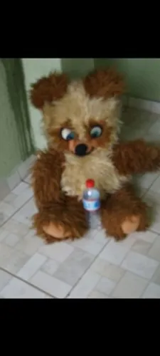 Urso pelúcia anos 80