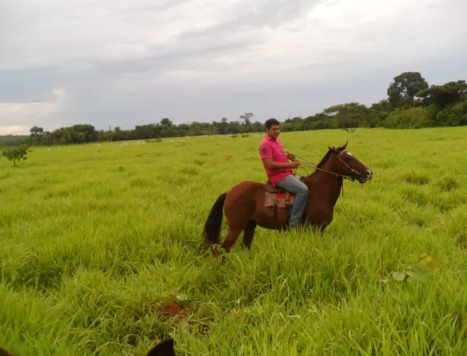 Fazenda em Aparecida do Rio Negro. 28 alqueires.