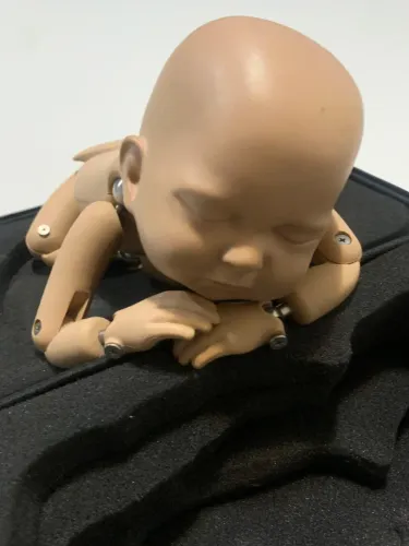 Boneca importada SIB - Stand In Baby - fotógrafa-newborn, fisio e cursos (tipo reborn)