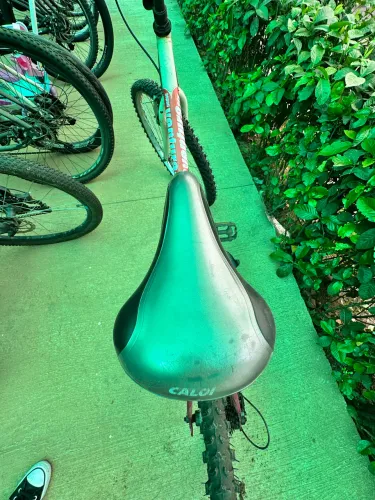Bicicleta Caloi 