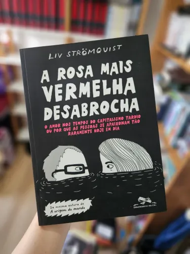 A Rosa Mais Vermelha Desabrocha