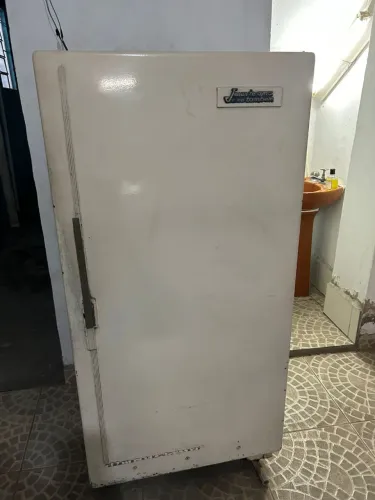 Geladeira retrô 1964