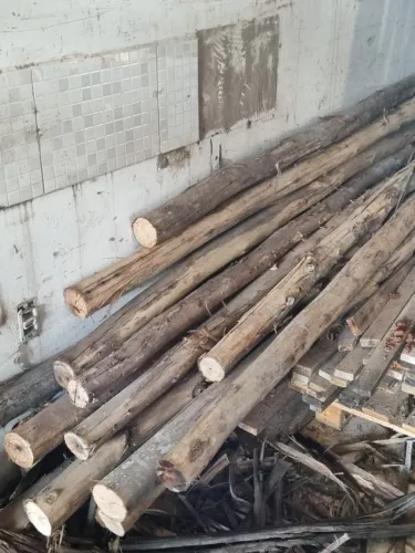Madeira para pizzaria
