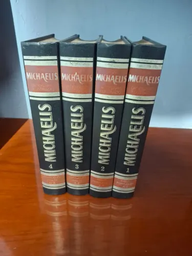DICIONARIO ILUSTRADO MICHAELIS