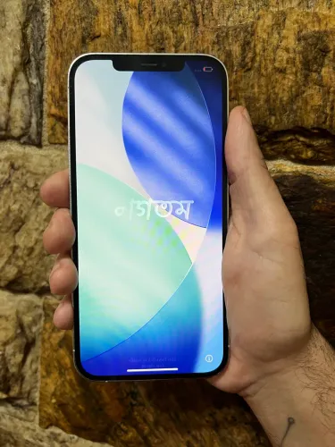 iPhone 12 Pro Max 256gb