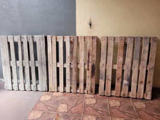 3 paletes por 100