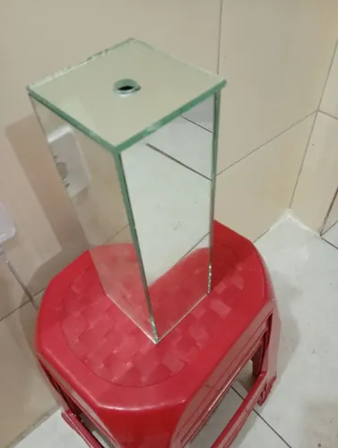 Junta dinheiro minhaeiro 20 reais novo