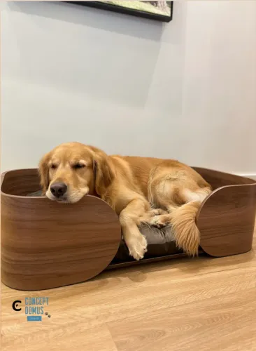Cama para cachorro 