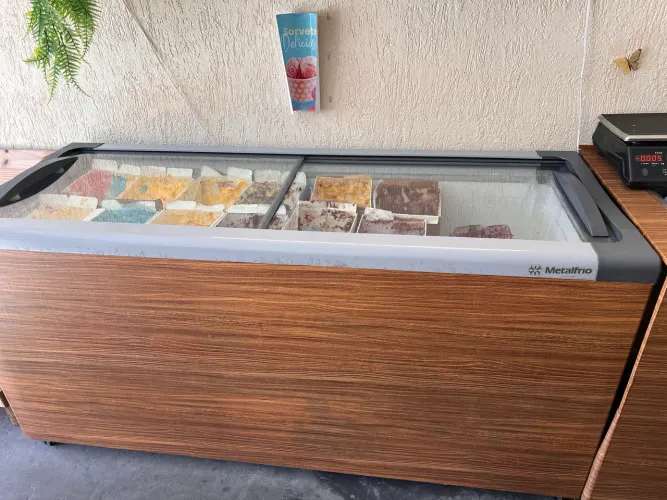 Freezer Sorvete 220v 