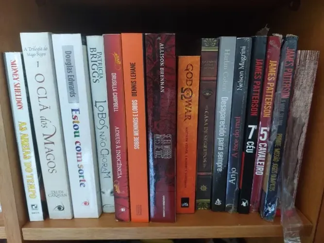 Lote Livros de Literatura de Crime e Fantasia(15 volumes)