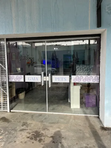Banho e tosa promissor em Mairiporã