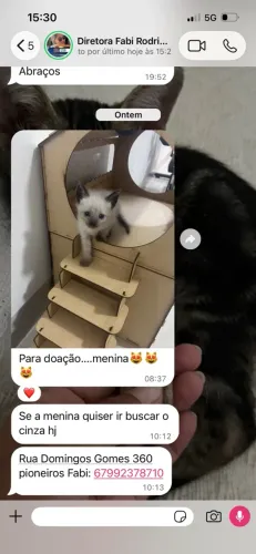 Doação 