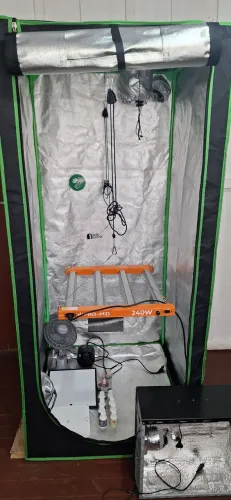 Kit Jardinagem Indoor Completo