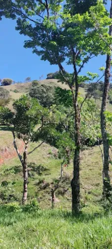 Terreno à venda, 63.000 m² por R$ 470.000 - Cambuí - Cambuí/MG