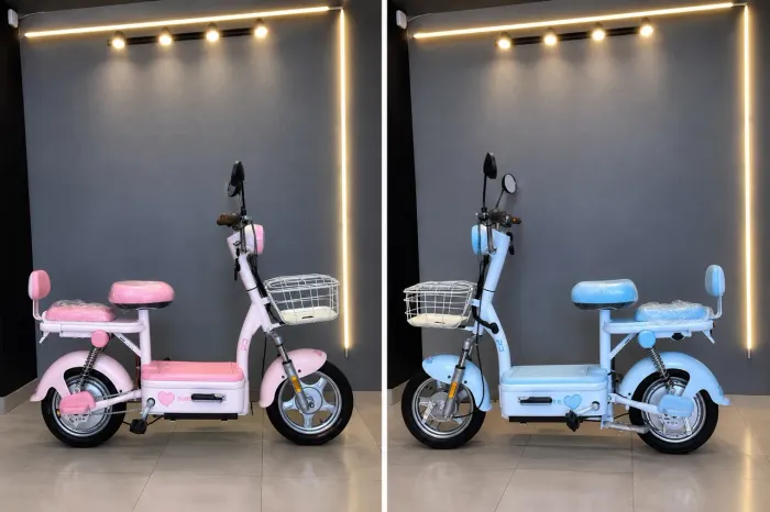 SCOOTER ELÉTRICA PANDA Z2 500W