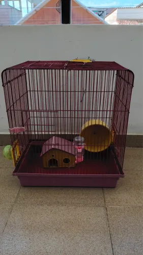 Gaiola para hamster