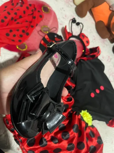 Fantasia da joaninha