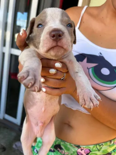 Pit monster